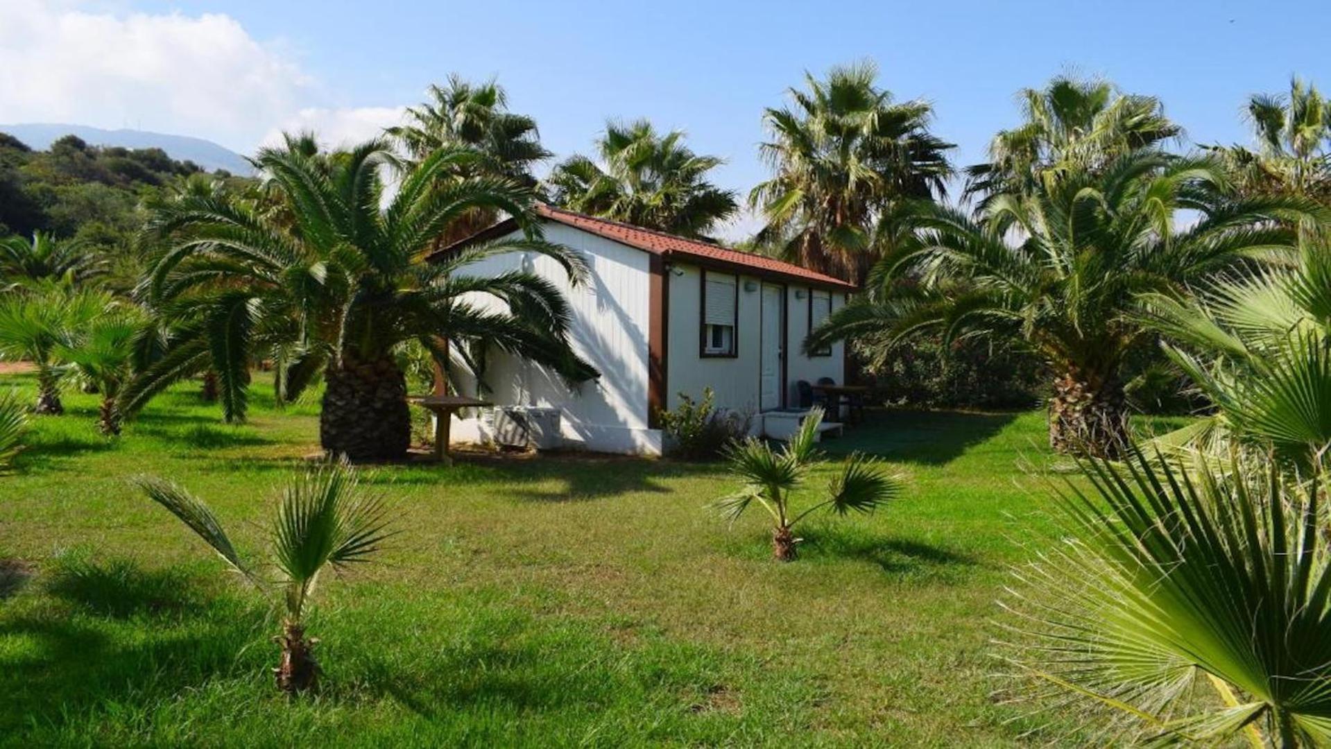 La Palma Beachfront